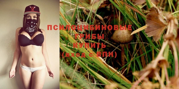 не бодяженный Ладушкин