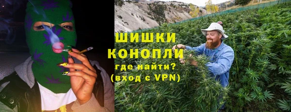дживик Кострома