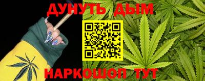 сатива Камышлов