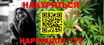 сатива Камышлов