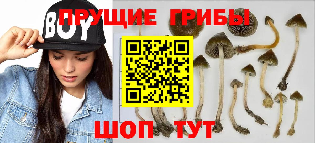 Галлюциногенные грибы Magic Shrooms Евпатория