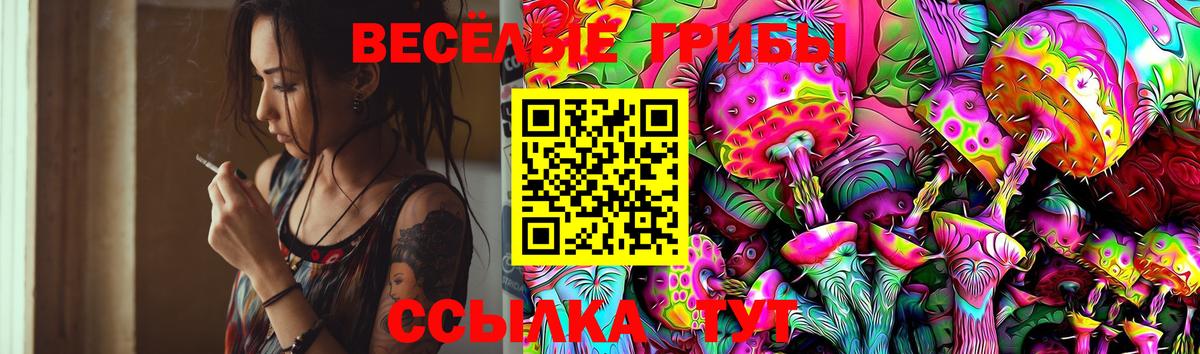 Галлюциногенные грибы GOLDEN TEACHER  Вход с VPN  Евпатория 