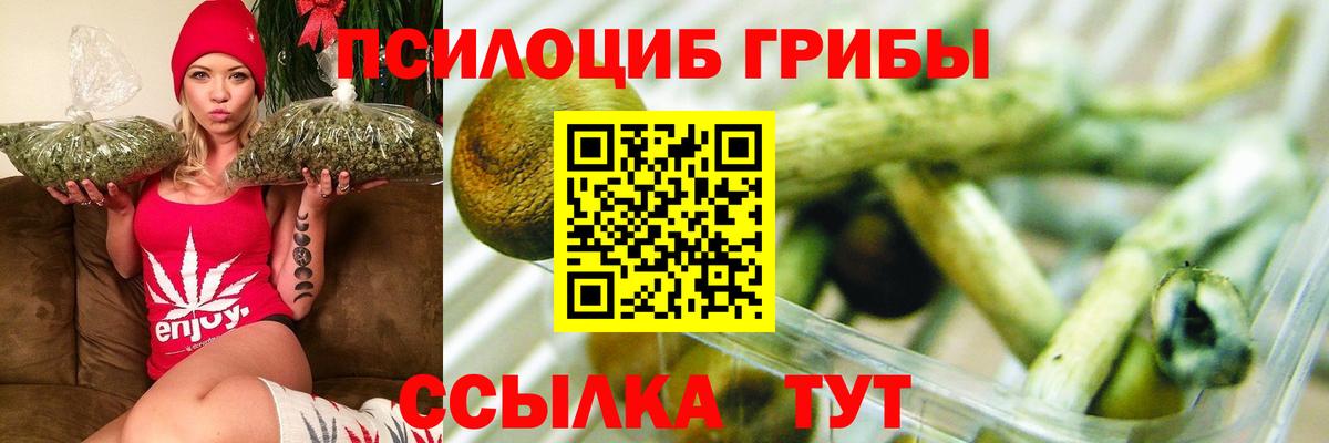 A-PVP Евпатория